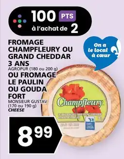 Rachelle-Bery Grocery CHAMPFLEURY AGROPUR (180 or 200 g) MONSIEUR GUSTAV (170 or 190 g) CHEESE offer