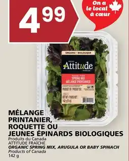 Rachelle-Bery Grocery ATTITUDE FRAÎCHE ORGANIC SPRING MIX, ARUGULA OR BABY SPINACH offer