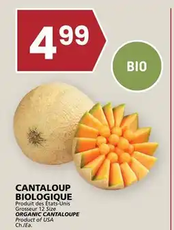 Rachelle-Bery Grocery ORGANIC CANTALOUPE offer
