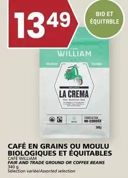 Rachelle-Bery Grocery CAFÉ WILLIAM FAIR AND TRADE GROUND OR COFFEE BEANS offer