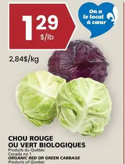 Rachelle-Bery Grocery ORGANIC RED OR GREEN CABBAGE offer