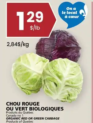 Rachelle-Bery Grocery ORGANIC RED OR GREEN CABBAGE offer