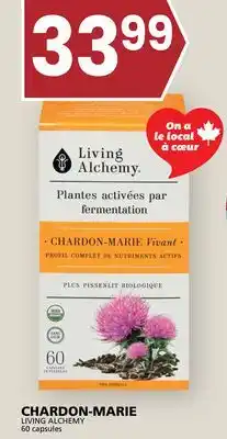 Rachelle-Bery Grocery LIVING ALCHEMY offer