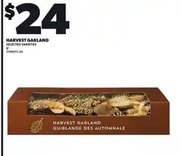 Loblaws HARVEST GARLAND 6' offer