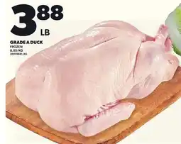 Loblaws GRADE A DUCK offer