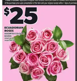 Loblaws ECUADORIAN ROSES offer