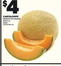 Loblaws CANTALOUPE offer