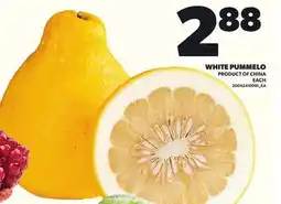 Loblaws WHITE PUMMELO offer