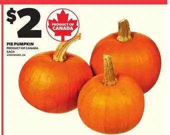 Loblaws PIE PUMPKIN offer