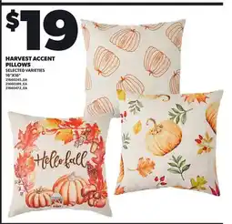 Loblaws HARVEST ACCENT PILLOWS, 16x16 offer