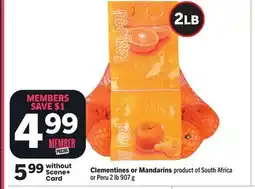 Foodland Clementines or Mandarins offer