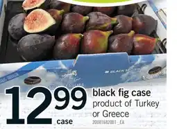 Fortinos BLACK FIG CASE, CASE offer