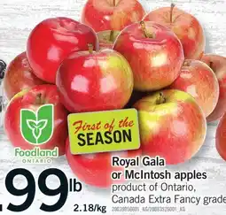Fortinos ROYAL GALA OR MCINTOSH APPLES offer