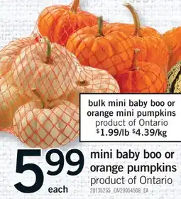 Fortinos MINI BABY BOO OR ORANGE PUMPKINS offer