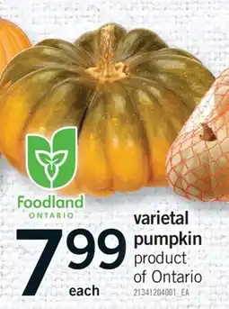 Fortinos VARIETAL PUMPKIN offer