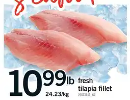 Fortinos FRESH TILAPIA FILLET offer