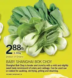 Fortinos BABY SHANGHAI BOK CHOY offer