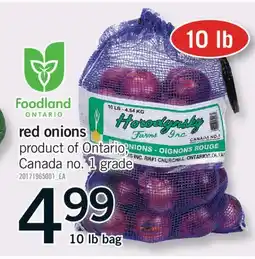 Fortinos RED ONIONS offer