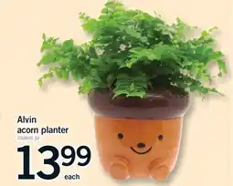Fortinos ALVIN ACORN PLANTER offer