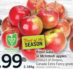 Fortinos FOODLAND ONTARIO ROYAL GALA OR MCINTOSH APPLES, 2.18/KG offer