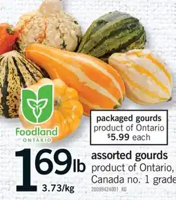Fortinos ASSORTED GOURDS offer