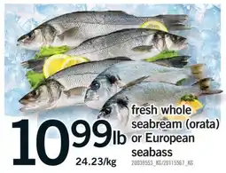 Fortinos FRESH WHOLE SEABREAM (ORATA) OR EUROPEAN SEABASS offer