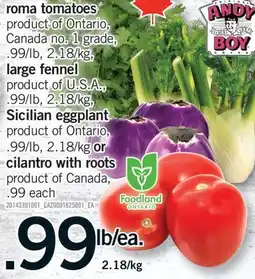 Fortinos ROMA PRODUCTS offer