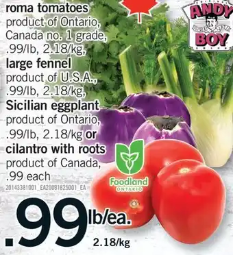 Fortinos ROMA PRODUCTS offer