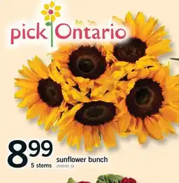 Fortinos Sunflower bunch, 5 stems offer