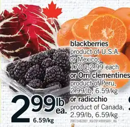 Fortinos BLACKBERRIES, 170 g OR ORRI CLEMENTINES OR RADICCHIO offer