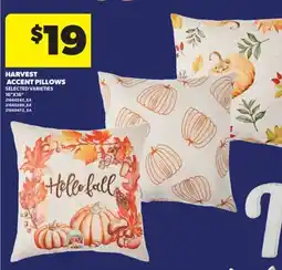 Real Canadian Superstore HARVEST ACCENT PILLOWS, 16 X16 offer