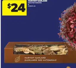 Real Canadian Superstore HARVEST GARLAND, 6' offer