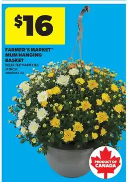 Real Canadian Superstore FARMER'S MARKET MUM HANGING BASKET, 11 INCH offer