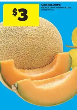 Real Canadian Superstore CANTALOUPE offer