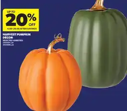 Real Canadian Superstore HARVEST PUMPKIN DÉCOR offer