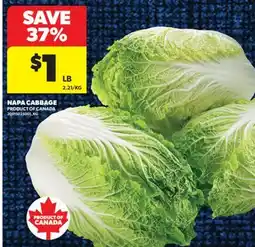 Real Canadian Superstore NAPA CABBAGE offer