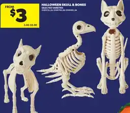 Real Canadian Superstore HALLOWEEN SKULL & BONES offer