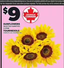 Independent Grocer SUNFLOWERS, 5 ITEM offer