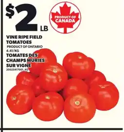 Independent Grocer VINE RIPE FIELD TOMATOES offer