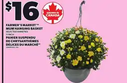 Independent Grocer FARMER'S MARKET MUM HANGING BASKET, 11 INCH offer