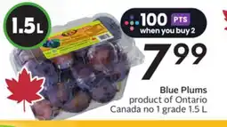 Sobeys Blue Plums offer