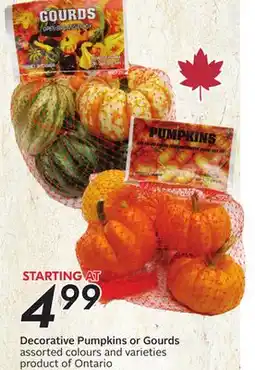 Sobeys Decorative Pumpkins or Gourds offer