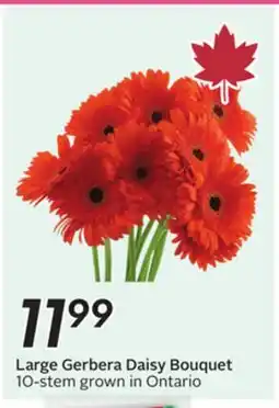 Sobeys Large Gerbera Daisy Bouquet offer