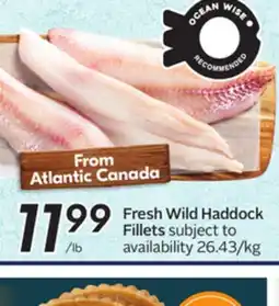 Sobeys Fresh Wild Haddock Fillets offer