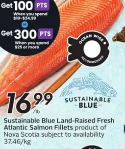 Sobeys Blue Land-Raised Fresh Atlantic Salmon Fillets offer