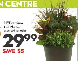 Longo's 12 Premium Fall Planter offer