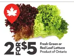 Longo's Fresh Green or Red Leaf Lettuce offer