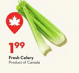 Longo's Fresh Celery offer