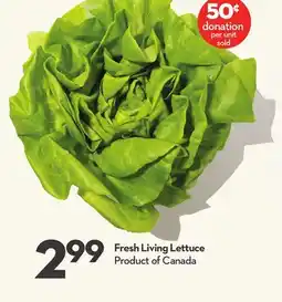 Longo's Fresh Living Lettuce offer