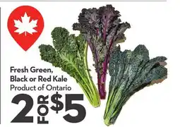 Longo's Fresh Green, Black or Red Kale offer